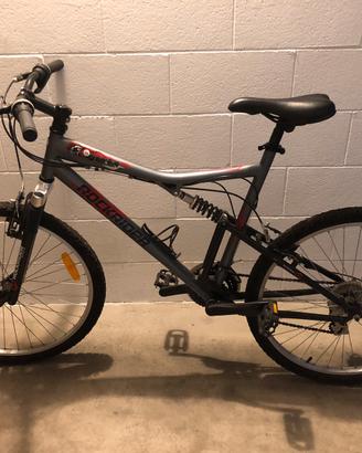 Mountain bike