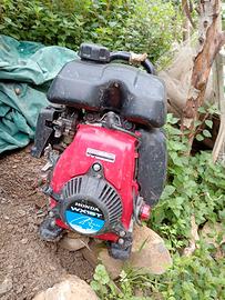 Attrezatura per orto