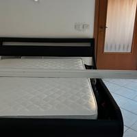 Telo motorizzato Provis Prestige