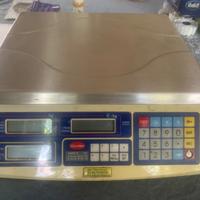 Bilancia professionale