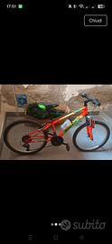 bici bambino 10 anni