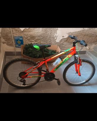 bici bambino 10 anni