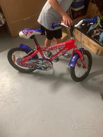 Bicicletta