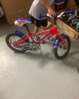 Bicicletta