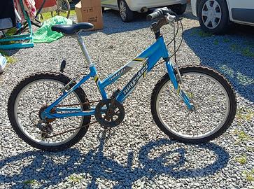 Bicicletta