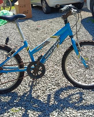 Bicicletta