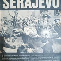 Collana completa La Grande Guerra – 20 volumi 