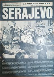 Collana completa La Grande Guerra – 20 volumi 