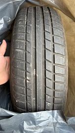 Gomme estive riken