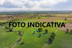 Terreno di 105000 m² a Sessa Aurunca