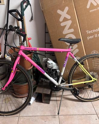 Bicicletta