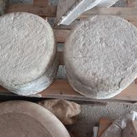 antiche basi per colonne 