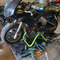 Minimoto 2 polini + DM