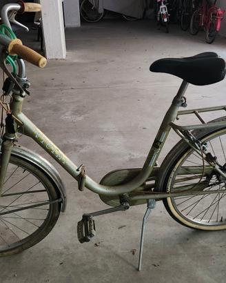 Bicicletta VICINI