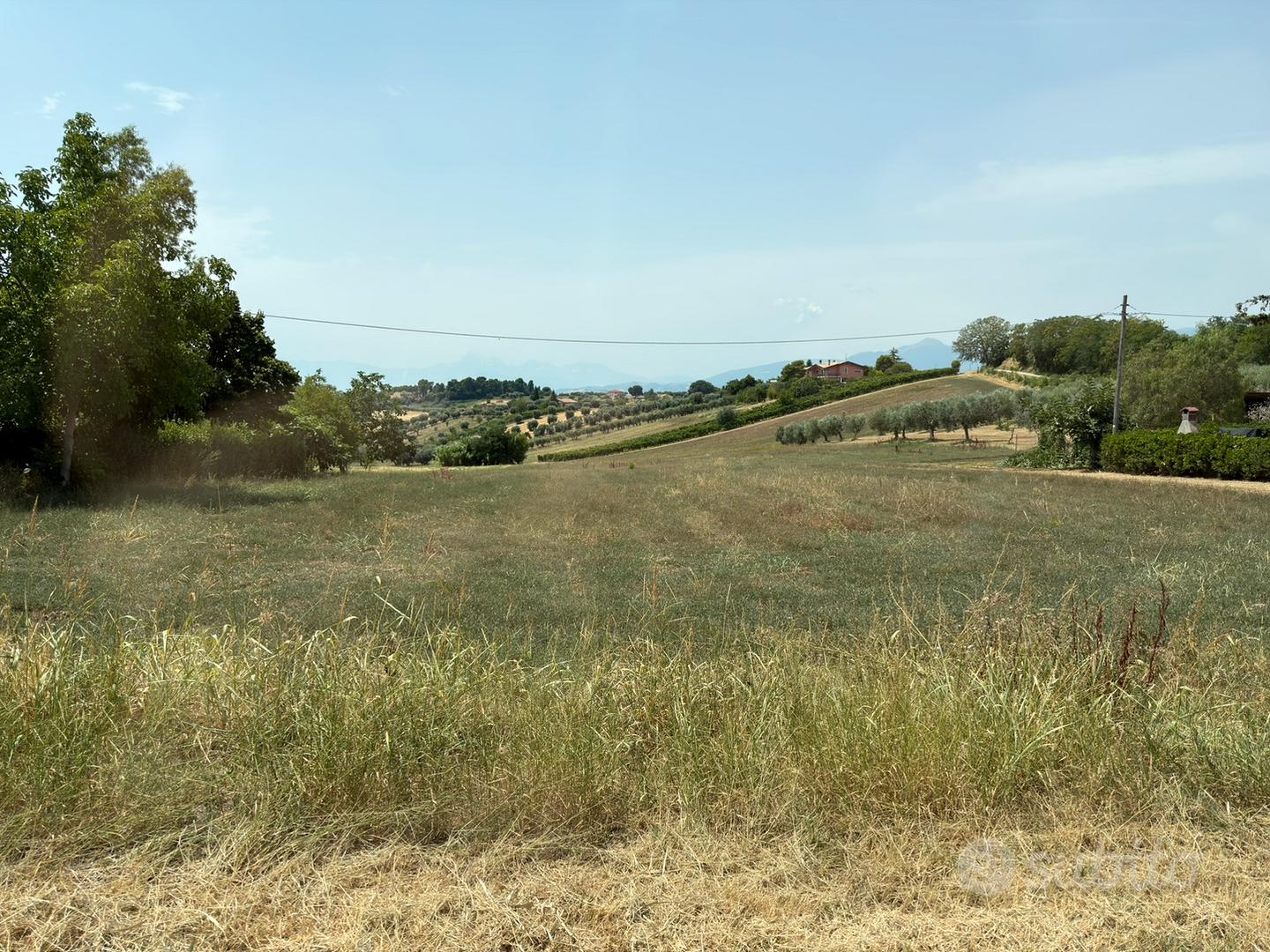 Terreno agricolo pianeggiante - Altro
