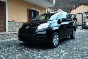 Fiat Panda 1.0 FireFly S&S Hybrid Pandina