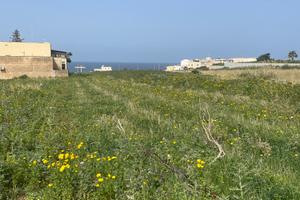 Terreno tra mare e montagna a Pizzolungo
