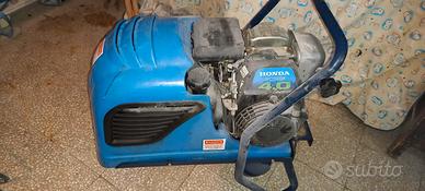 abbacchiatore per ulivo