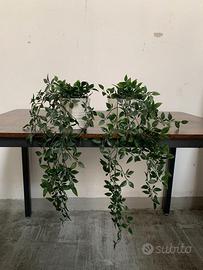 SET PIANTINE FINTE E VASI