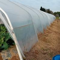 TELO,SERRE,PACIAMATURA, MINI SERRE