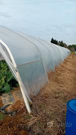 TELO,SERRE,PACIAMATURA, MINI SERRE