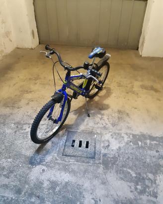 bicicletta 