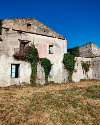 Rudere con giardino