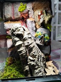 Terrario per migali 20x20x30 