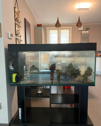 Acquario 350 lt
