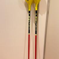 Bastoncini con paramani Leki