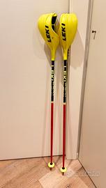 Bastoncini con paramani Leki