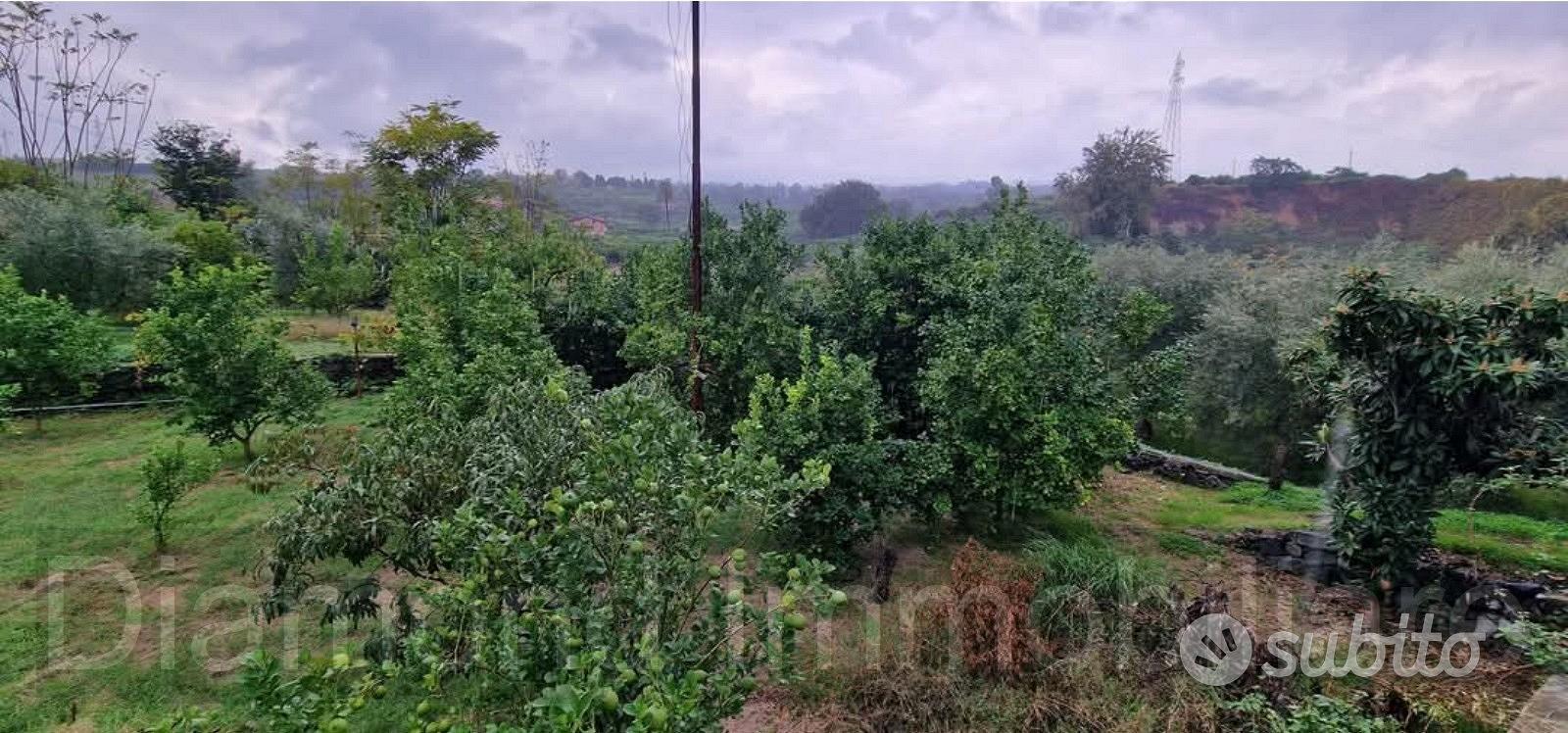 Terreno agricolo 1.200mq a Giarre - Vista 3