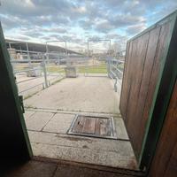 Centro ippico Orsolina stable