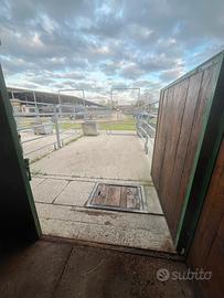 Centro ippico Orsolina stable