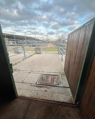 Centro ippico Orsolina stable