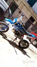 pit bike Yuma 125 automatico 