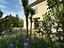Immagine 12
