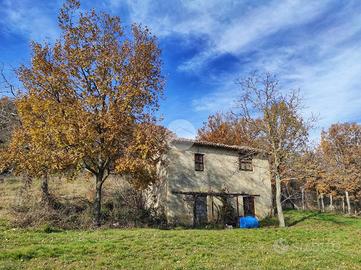 CASA INDIPENDENTE A BARETE