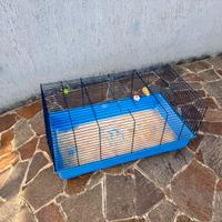 gabbia per conigli