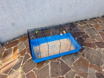 gabbia per conigli