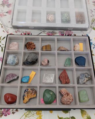 Collezione di minerali con raccoglitori