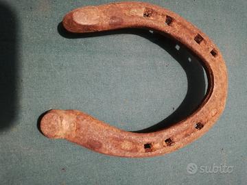 antico Ferro di cavallo / asino