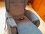 Immagine 2