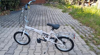 Bicicletta pieghevole