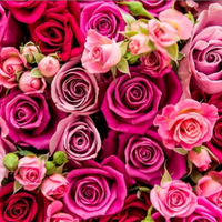 Attività commerciale floreale