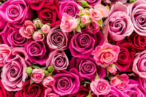 Attività commerciale floreale