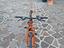 Immagine 3
