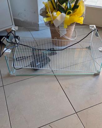 Teca per rettili in vetro 60 litri
