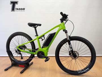 Scott Roxter eRide Kids 26 pollici | 400Wh