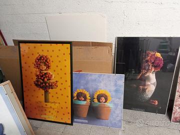 Quadri stampe Anne Geddes